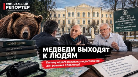 Медведи выходят к людям: причины — мнение экспертов